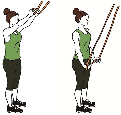 12 Resistance Band Back Exercises .